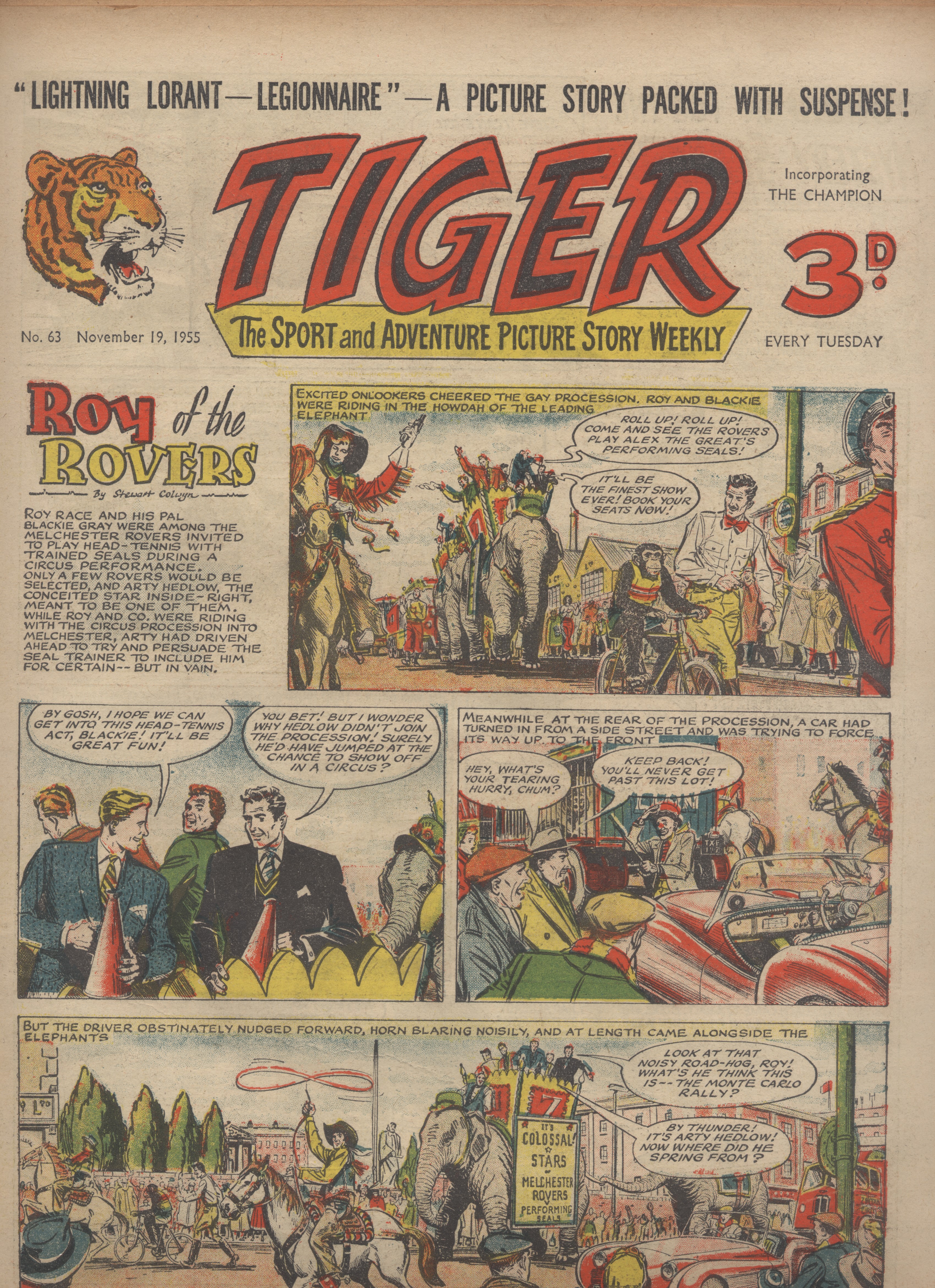 Tiger